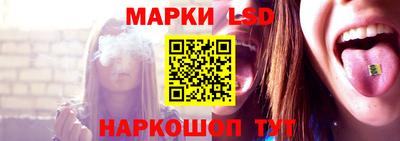 СК Заводоуковск