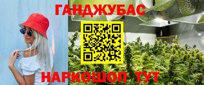 гашик Заволжье